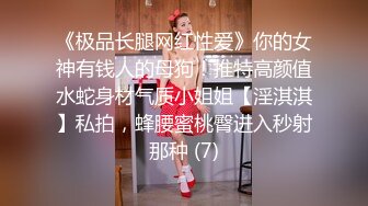 《极品长腿网红性爱》你的女神有钱人的母狗！推特高颜值水蛇身材气质小姐姐【淫淇淇】私拍，蜂腰蜜桃臀进入秒射那种 (7)