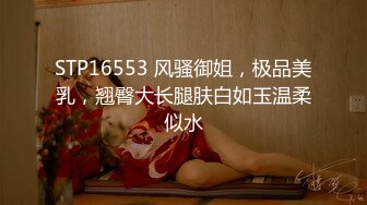 STP16553 风骚御姐，极品美乳，翘臀大长腿肤白如玉温柔似水