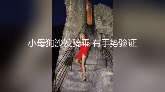 小母狗沙发骑乘 有手势验证