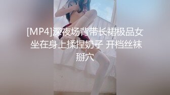 [MP4]深夜场背带长裙极品女 坐在身上揉捏奶子 开档丝袜掰穴