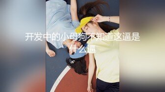 开发中的小母狗不知道这逼是什么逼