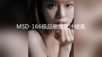 MSD-166极品嫩鲍蜜汁喷泉