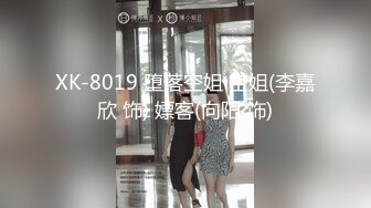 XK-8019 堕落空姐 空姐(李嘉欣 饰) 嫖客(向阳 饰)