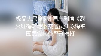 极品大尺度SM,国产剧情《烈火红梅》地下交通员江咏梅被国民党特务严刑拷打