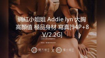 網紅小姐姐 Addie lyn 大胸 高顏值 極品身材 寫真[94P+8V/2.2G]