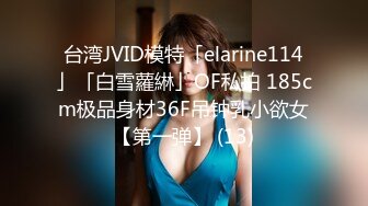 台湾JVID模特「elarine114」「白雪蘿綝」OF私拍 185cm极品身材36F吊钟乳小欲女【第一弹】 (13)