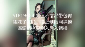 STP19464 颜值不错吊带包臀裙妹子啪啪，换上制服网袜摸逼调情抬腿侧入后入猛操