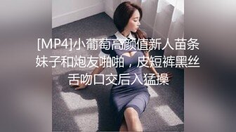 [MP4]小葡萄高颜值新人苗条妹子和炮友啪啪，皮短裤黑丝舌吻口交后入猛操