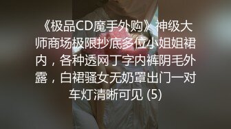 《极品CD魔手外购》神级大师商场极限抄底多位小姐姐裙内，各种透网丁字内裤阴毛外露，白裙骚女无奶罩出门一对车灯清晰可见 (5)