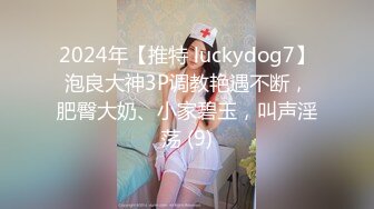 2024年【推特 luckydog7】泡良大神3P调教艳遇不断，肥臀大奶、小家碧玉，叫声淫荡 (9)