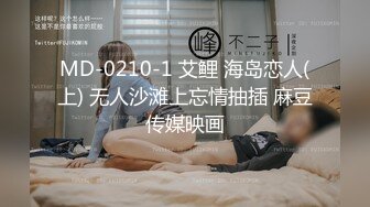 MD-0210-1 艾鲤 海岛恋人(上) 无人沙滩上忘情抽插 麻豆传媒映画